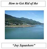 Experience Joy | Joy Squashers | How to Experience Joy in Your Life | Joy Tips | Get Rid of Joy Squashers